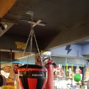 신나라 복싱클럽 이미지