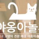 야옹아놀자 이미지
