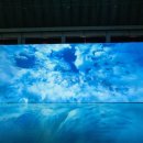 라파우자 이미지