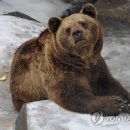 만나 이미지