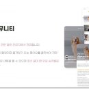 메인동물병원 이미지
