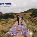 한라산 철쭉트레킹 ｜ 기암괴석과 산상화원이 있는 한라산 어리목-영실 코스 이미지