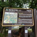 소통령 이미지