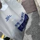 5박 6일 제주 여행 3편. 일정 경비 총정리