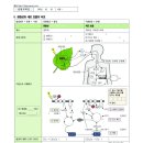 (연예인이 나오는) 학습지 구경하세요^^ 이미지