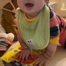 들목주 | 팀부 턱받이로 정착(스카프&amp;미디엄&amp;라지 빕) 4+1은 못참지