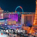 라스베가스스피어쇼 알고가자