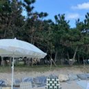 모포여락 이미지