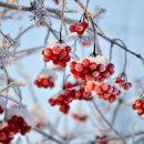 열매푸드 이미지