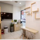 H플란트치과의원 이미지