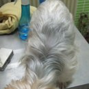 다나한방병원 이미지