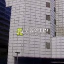 장교동 중구 삼일대로 서울 Daum카페