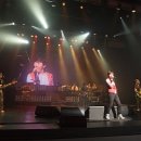 플라워 콘서트 이미지