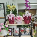 꽃향기 플라워 이미지