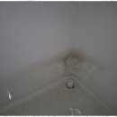 이끌림케어 이미지