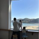 탄스비치 이미지