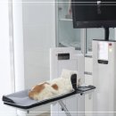 부산동물병원 이미지