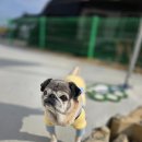 덕산세차 이미지