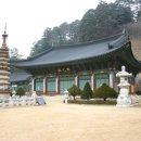 보배식당 이미지