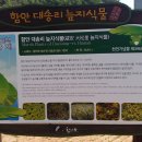 하촌천 이미지