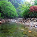 소리산캠핑 이미지