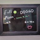 [수원 인계동/소우주] 방탈출 풀문(Full moon) 후기