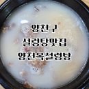 한국설렁탕 | 양천구 맛집 양천옥 설렁탕 내돈내산 후기