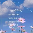 채널큐 | 동지(冬至)