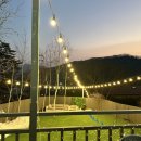 스테이 태정93 | 남양주 애견동반펜션추천 스테이태정93 까뮈방 1층후기 남양주 개별사우나펜션추천