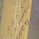 강아지 멋내기 | 사랑할 시간