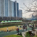 2024 연제고분 판타지축제 벚꽃 없는 온천천 벚꽃축제 후기