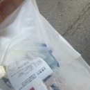 중동030 | 요르단 여행 준비 2탄(여행 필수 체크리스트 공유): 여권, 유심/로밍, 국제운전면허증, 여행자 보험...