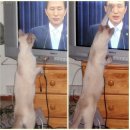 영특 이미지