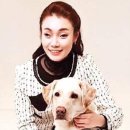소신 이미지