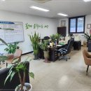 대한자동차매매상사 이미지