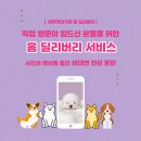 의성동물병원부설 | 의성고양이분양, 랙돌을 만나고 고양이에 대한 생각이 완전히 달라졌어요