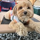 펫츠런파크 이미지