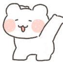 용인대SM복싱클럽 이미지