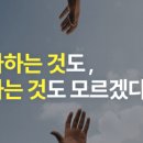 피카타임