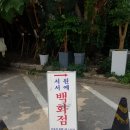 서원서예