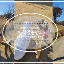 안성맞춤랜드18 이미지