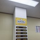 돼지3남매 이미지