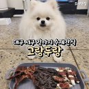 고랑두랑 이미지