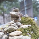 완주 한우 직판장 | 완주 고산자연휴양림 웰빙휴양관 리모델링 725호 726호 2박 후기