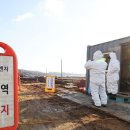 치명농장 이미지