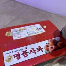 문경사과 너무 맛있는 감홍사과