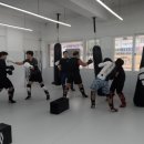 팀옥토퍼스