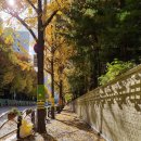 전동바이크와 함께하는 가을 산책4 -겨울이 더 따뜻한 가로수길 이미지