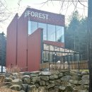 6856 | [대전 덕명동 카페] 큰듯 아담하고, 한적한 카페 ‘레포레스트’ 내돈내산 상세후기