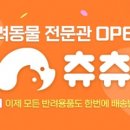 츄츄다 이미지